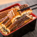 【ふるさと納税】 大型サイズ ふっくら柔らか 国産うなぎ蒲焼き 1尾(約2人前)化粧箱入【順次発送】