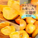 【ふるさと納税】【10・11・12月 全3回】和歌山産 みかんと柿のお楽しみ 定期便 【魚鶴商店】【UT111】 | フルーツ 果物 くだもの みかん 柿 食品...