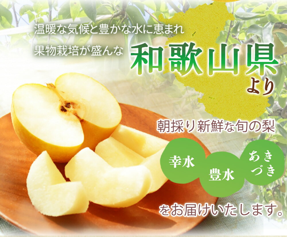 【ふるさと納税】梨 3玉 化粧箱入 紀州和歌山 かつらぎ産【2025年8月下旬頃から9月下旬頃発送予定】【UT98】