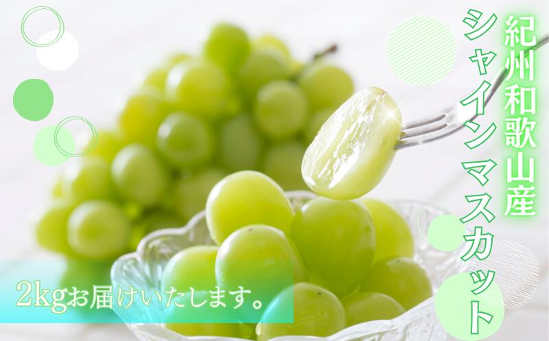 【ふるさと納税】 シャインマスカット 約2kg　紀州和歌山産【2026年8月下旬頃～2026年9月上旬頃に順次発送予定】【UT78】