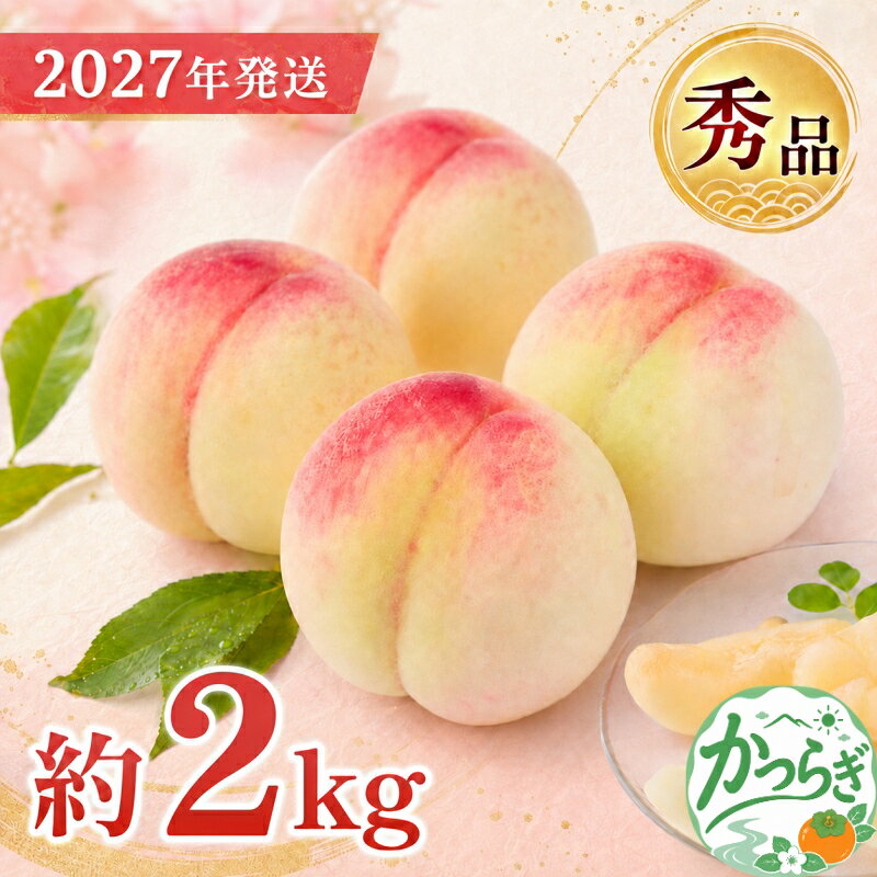 和歌山県産 桃 5玉〜8玉 約2kg 秀品 【2027年7月上旬～2027年8月下旬頃発送予定】【US36】 | もも 桃 モモ 秀品 甘い ジューシー ふるさと納税 和歌山 先行予約 果物 品種 送料無料 産地直送 絶品 濃厚 特産品 名産品