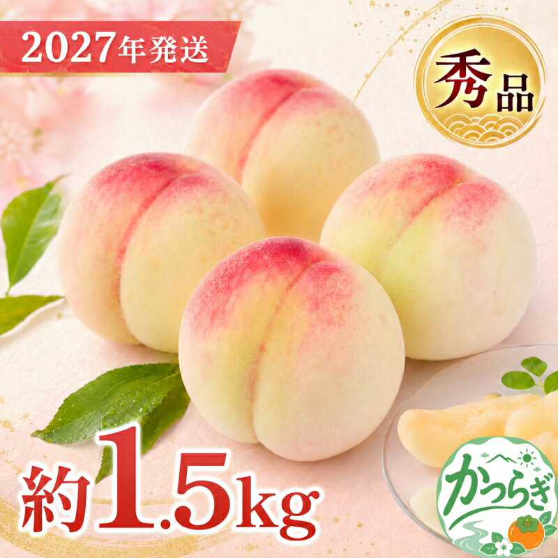 和歌山県産 桃 4玉～6玉 約1.5kg 秀品 【2027年7月上旬～2027年8月下旬頃発送予定】 【US35】 | もも 桃 モモ 秀品 甘い ジューシー ふるさと納税 和歌山 先行予約 果物 品種 送料無料 産地直送 絶品 濃厚 特産品 名産品