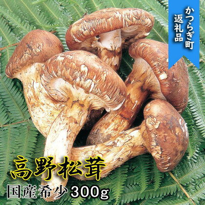 香り・歯応え・味ともに最高級！希少な国産松茸「高野松茸」300g【化粧箱入】【2024年10月上旬～10月下旬発送】