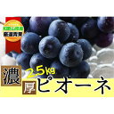 【ふるさと納税】【甘さとみずみずしさが自慢】種なしピオーネ＜ぶどう約 2.5kg＞★8月下旬以降発送★ | 果物 フルーツ ぶどう 葡萄 ブドウ スイーツ かつらぎ町産 青果 食品 人気 おすすめ 送料…