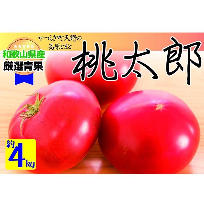 【ふるさと納税】★7月中旬以降発送★太陽の恵みたっぷりの天野とまと【桃太郎トマト約4kg】 | 野菜 やさい 食品 人気 おすすめ 送料無料