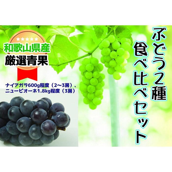 ★8月中旬発送★[絶品]ぶどう2種食べ比べセット | フルーツ 果物 くだもの 食品 人気 おすすめ 送料無料 食べ比べ 葡萄 先行予約 数量限定