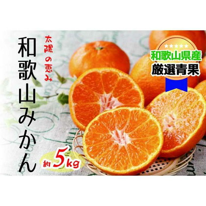 ★12月発送★【太陽の恵み】和歌山みかん(約5kg) | フルーツ 果物 くだもの 食品 人気 おすすめ 送料無料 先行予約 数量限定 和歌山 みかん 蜜柑