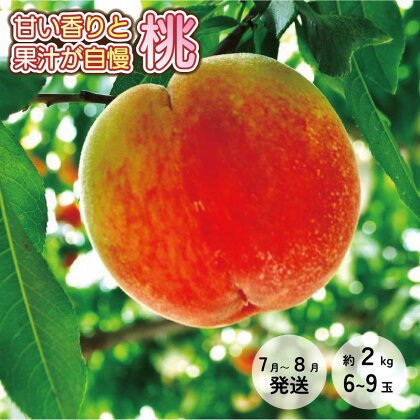 ★7月～8月発送★＜甘い香りと果汁が自慢＞桃 約2kg(6～9玉前後) | もも 桃 モモ 白鳳 甘い ジューシー ふるさと納税 和歌山 先行予約 果物 品種 送料無料 産地直送 絶品 濃厚 特産品 名産品