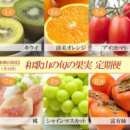 和歌山の旬の果実を 奇数月にお届け全6回定期便