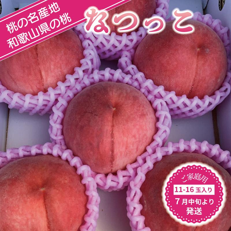 【ふるさと納税】和歌山県産 なつっこ 11-16玉入り ご家庭用 青秀【2024年7月中旬より順次発送】 | もも 桃 モモ 甘い ジューシー ふるさと納税 和歌山 先行予約 果物 品種 送料無料 産地直送 絶品 濃厚 特産品 名産品 訳あり 家庭用