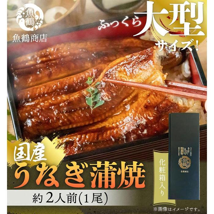 大型サイズ ふっくら柔らか 国産うなぎ蒲焼き 1尾（約2人前）化粧箱入【順次発送】 | 鰻 魚介類 水産 食品 人気 おすすめ 送料無料