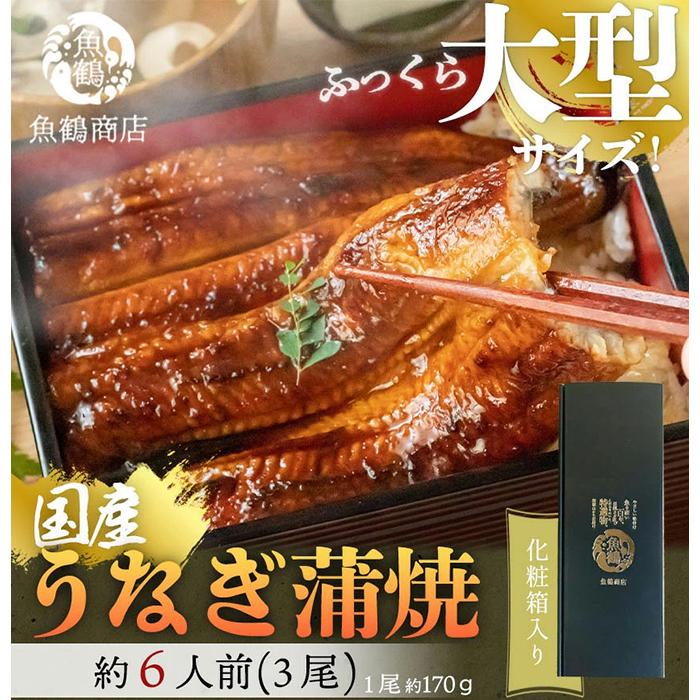 47位! 口コミ数「0件」評価「0」大型サイズ　ふっくら柔らか　国産うなぎ蒲焼き　3尾　化粧箱入【土用の丑の日のうなぎ】【～7月24日までにお届け】【UT06】 | 鰻 魚介類･･･ 