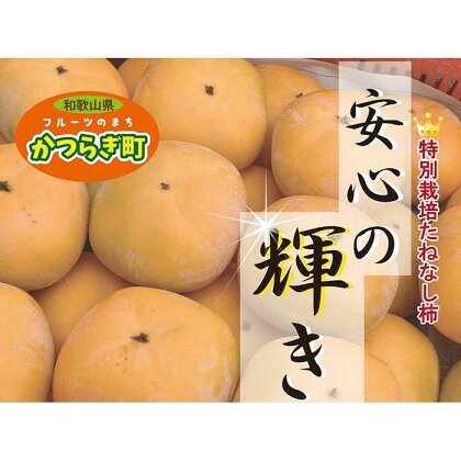 特別栽培 たねなし柿 約7.5kg サイズいろいろ ご家庭用 【2024年10月より順次発送】 | フルーツ 果物 くだもの 食品 人気 おすすめ 送料無料 先行予約 数量限定 かき たねなし