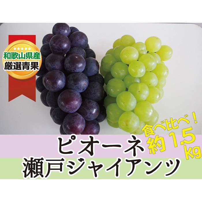 20位! 口コミ数「0件」評価「0」ピオーネ＆瀬戸ジャイアンツ 約1.5kg ★食べ比べ★ 8月下旬以降発送 | 果物 フルーツ ぶどう 葡萄 ブドウ　ピオーネ　瀬戸ジャイアン･･･ 