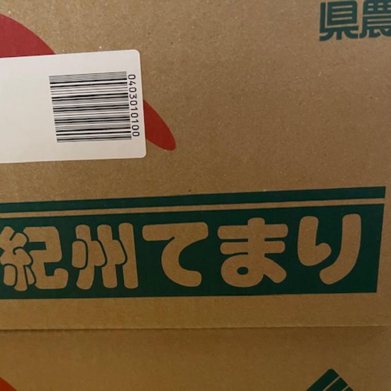 【ふるさと納税】富有柿の新品種「紀州てまり」約7.5kg（22玉～32玉おまかせ）★2024年10月中旬頃より順次発送 | 柿 フルーツ 果物 くだもの 食品 人気 おすすめ 送料無料 2