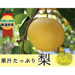 【ふるさと納税】★8月発送★果汁滴る絶品の梨(約2Kg） | フルーツ 果物 くだもの 食品 人気 おすすめ 送料無料 先行予約 数量限定 なし 絶品