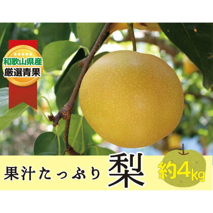 ★8月発送★果汁滴る絶品の梨(約4Kg） | フルーツ 果物 くだもの 食品 人気 おすすめ 送料無料 先行予約 数量限定 なし 絶品