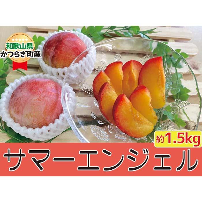 【ふるさと納税】すもも〇希少品種〇「サマーエンジェル」約1.5kg★7月上旬頃から発送★ | フルーツ 果物 くだもの 食品 人気 おすすめ 送料無料