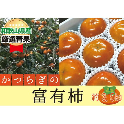 柿 富有柿【秀品】和歌山県産 約3.5kg【2024年11月中旬～2024年12月上旬発送】 | フルーツ 果物 くだもの 食品 人気 おすすめ 送料無料