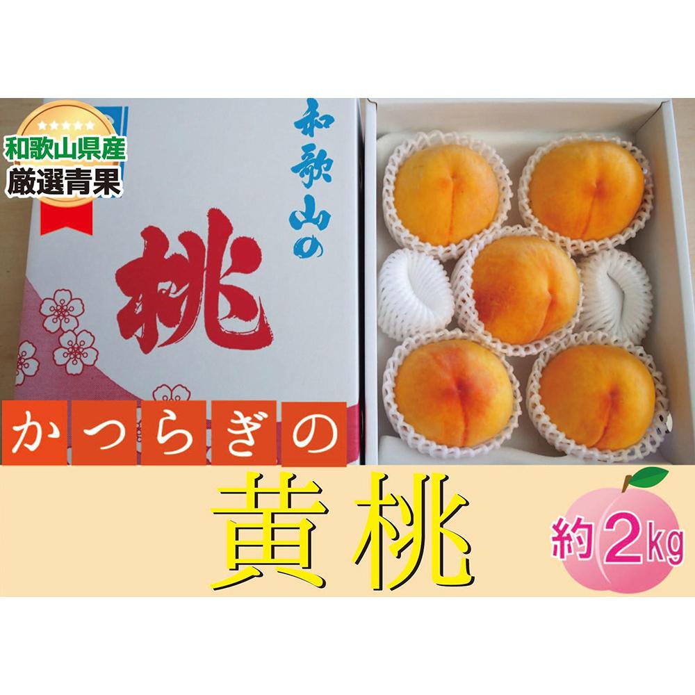 ★かつらぎの黄桃★[品種おまかせ]約2kg(5〜8玉)[2024年6月下旬〜2024年8月上旬発送] | もも フルーツ 果物 くだもの 食品 人気 おすすめ 送料無料