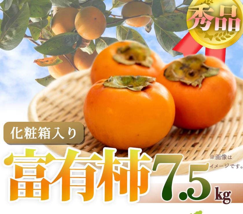 和歌山秋の味覚　富有柿　約7．5kg「2024年11月上旬以降発送予定」　かつらぎ町産【UT48w】 | フルーツ 果物 くだもの 食品 人気 おすすめ 送料無料 先行予約 数量限定 種無し たねなし かき