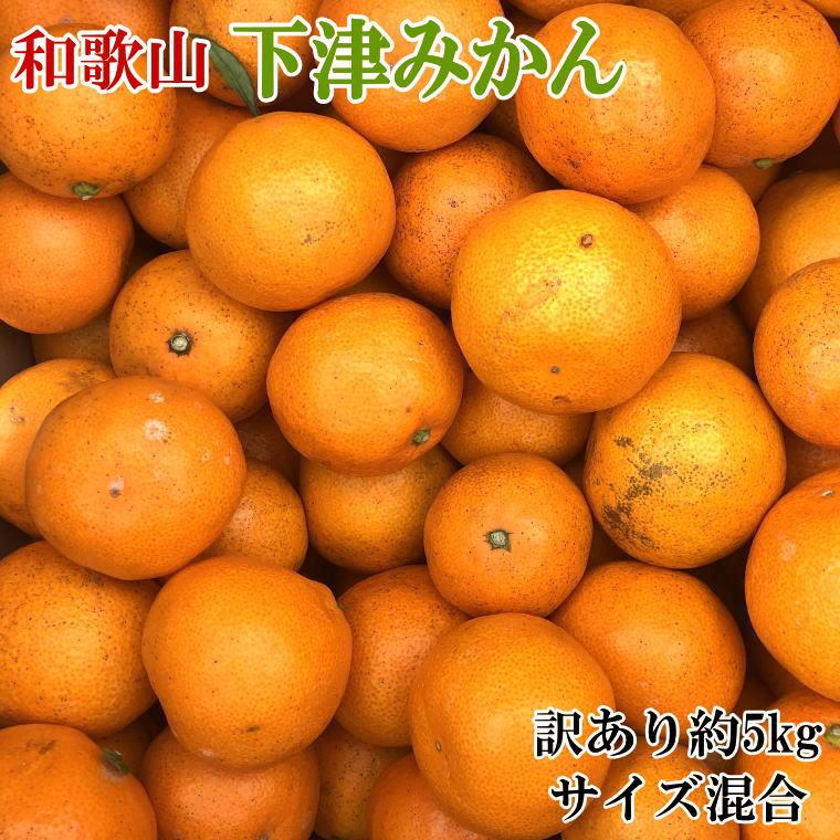 [訳あり]和歌山下津みかん約5kgご家庭用向け(サイズ混合) ★2024年11月中旬頃より順次発送[TM77] | フルーツ 果物 くだもの 食品 人気 おすすめ 送料無料