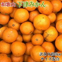 【ふるさと納税】【訳あり】和歌山下津みかん約5kgご家庭用向け(サイズ混合) ★2024年11月中旬頃より順次発送【TM77】 | フルーツ 果物 くだもの 食品 人気 おすすめ 送料無料