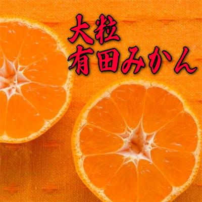 迫力満点 大玉 有田みかん 約5kg[先行予約][果汁たっぷり][2024年11月中旬〜1月中旬発送][MS14] | 有田みかん みかん ミカン 完熟 フルーツ 果物 くだもの 食品 人気 おすすめ 送料無料 農家直送