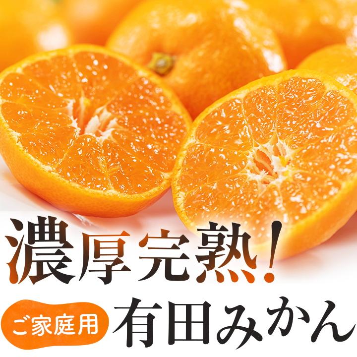 59位! 口コミ数「0件」評価「0」【ご家庭用】 濃厚完熟 有田みかん 約4kg【先行予約 2025年1月発送予定 】【MS3-3】 | 有田みかん みかん ミカン 完熟 フル･･･ 