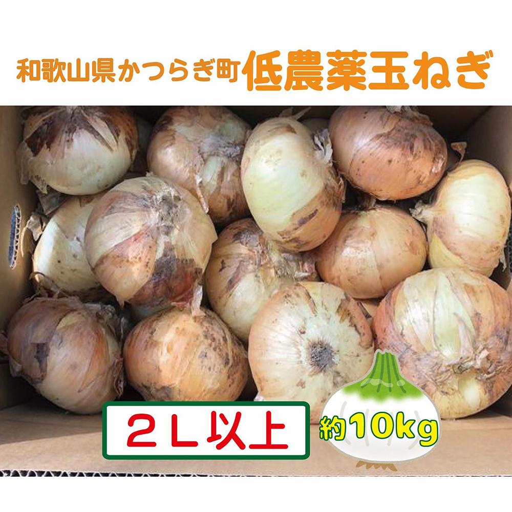 3位! 口コミ数「0件」評価「0」農家さん直送！低農薬玉ねぎ2Lサイズ以上約10kg【4月中旬～7月中旬発送予定】