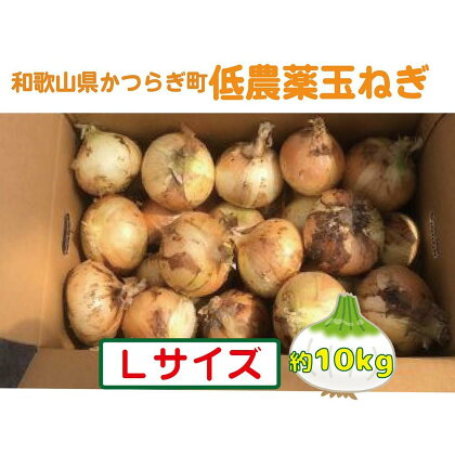 農家さん直送！低農薬玉ねぎ約Lサイズ10kg【4月中旬～7月中旬発送予定】