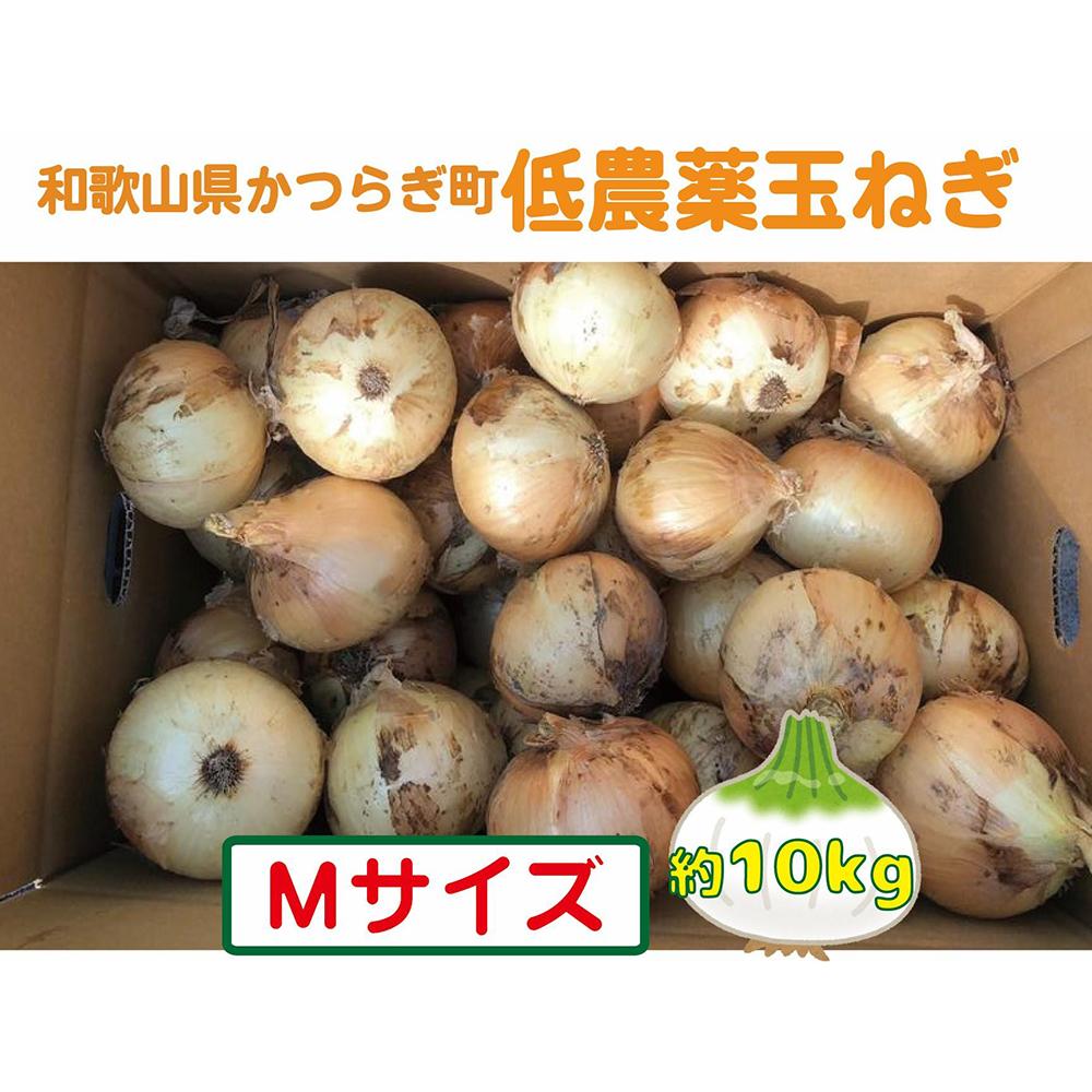 【ふるさと納税】農家さん直送！低農薬玉ねぎMサイズ約10kg【4月中旬～7月中旬発送予定】