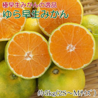 ・ふるさと納税よくある質問はこちら ・寄付申込みのキャンセル、返礼品の変更・返品はできません。あらかじめご了承ください。 ・ご要望を備考に記載頂いてもこちらでは対応いたしかねますので、何卒ご了承くださいませ。 ・寄付回数の制限は設けておりません。寄付をいただく度にお届けいたします。 商品概要 早い時期のみかんとしては小粒ですが、皮が薄いので食べやすく、ついついもう一つと手が出るおいしさです。 ゆら早生みかんは「宮川早生」の枝変わりの新品種で、1本の木から収穫できる量は多くありませんので、全体の出荷量も少ない希少なみかんです。 甘味とコクがあり、さわやかな酸味もあるバランスの取れたゆら早生みかんを、是非一度ご賞味下さい。 ※画像はイメージです。実物は、果皮に多少の青さが残っているものもございます。 ※収穫状況により発送時期が前後する場合がございます。 ※なるべく涼しく風通しの良い場所で保存してください。 ※生もの（農産物）ですので、新鮮なうちにできるだけお早めにお召上がりください。 ※手選別のため、外観に傷などがあるものも入る可能性がありますが、味は変わりませんのであらかじめご了承ください。 【発送時期】2024年10月15日から11月11日ごろ順次発送（予定） ※生育状況によりお届け時期が多少前後する場合がございます。 こちらは和歌山県海南市との共通返礼品になります。 平成31年総務省告示第179号第5条第8号イ「市区町村が近隣の他の市区町村と共同で前各号いずれかに該当するものを共通の返礼品等とするもの」に該当する返礼品として、和歌山県内で合意した市町村間で出品しているものです。 【産地】和歌山県海南市 【お問合せ先】 事業者名：かつらぎ町厳選館 連絡先：073-494-3366 関連キーワード：フルーツ 果物 くだもの 食品 人気 おすすめ 送料無料 内容量・サイズ等 1箱約5kg(2S～Mサイズおまかせ・秀品) 和歌山県海南市産 賞味期限 発送から5日 配送方法 常温 発送期日 2024年10月15日から11月11日ごろ順次発送（予定）※生育状況によりお届け時期が多少前後する場合がございます。 アレルギー 特定原材料等28品目は使用していません ※ 表示内容に関しては各事業者の指定に基づき掲載しており、一切の内容を保証するものではございません。 ※ ご不明の点がございましたら事業者まで直接お問い合わせ下さい。 名称 みかん 産地名 和歌山県海南市 保存方法 生もの（農産物）ですので、新鮮なうちにできるだけお早めにお召上がりください。 事業者情報 事業者名 かつらぎ町厳選館 連絡先 073-494-3366 営業時間 9：00～17：00 定休日 土曜・日曜・祝日・お盆・年末年始など「ふるさと納税」寄付金は、下記の事業を推進する資金として活用してまいります。 （1）ふるさと応援 （2）過疎・辺地地域の振興 （3）農林業・商工業・観光事業の振興 （4）健康・福祉の増進 （5）教育の振興 （6）スポーツ・文化活動の推進 （7）環境保全 （8）文化財の保護・保全 （9）防災・災害対策の推進