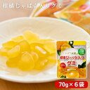 【ふるさと納税】柑橘じゃばら入りグミ 6袋セット【入金確定日より、2週間程度で配送】
