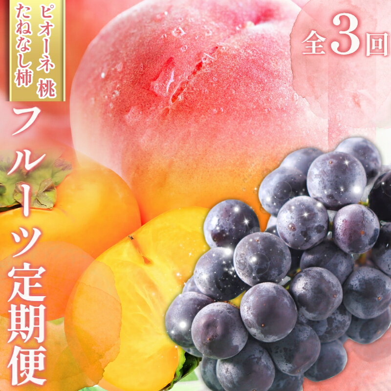 受付終了まで残り僅か![全3回 ]かつらぎ町産 フルーツ定期便(桃・ピオーネ・たねなし柿)フルーツ王国よりお届け♪ / もも ピオーネ ぶどう 種無し たねなし 柿 フルーツ 果物 定期便 セット 和歌山 旬 甘い 先行予約 2025