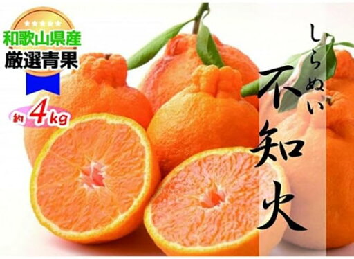 【ふるさと納税】 【甘さ絶品】しらぬい(約4kg) 【2026年2月中旬〜2026年3月下旬発送】 【ふるさと納税】 【甘さ絶品】しらぬい(約4kg) 【2026年2月中旬〜2026年3月下旬発送】