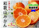 【ふるさと納税】 【太陽の恵み】和歌山みかん(約5kg) 【2025年12月上旬~2026年1月下旬発送】