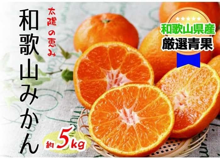 【ふるさと納税】 【太陽の恵み】和歌山みかん(約5kg) 【2025年12月上旬~2026年1月下旬発送】