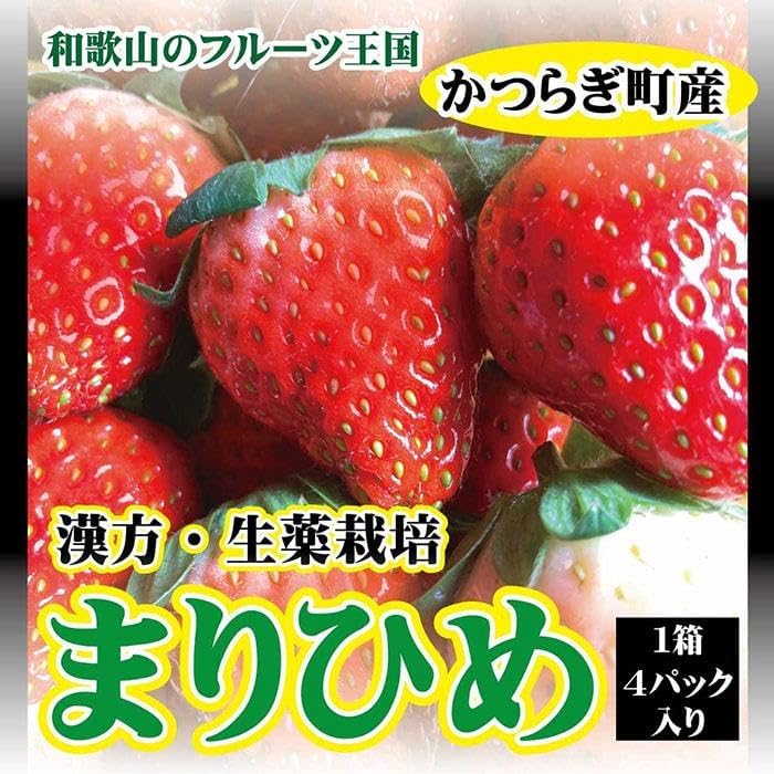 【ふるさと納税】【フルーツ王国和歌山生まれの品種「まりひめ」】いちご 4パック【2025年3月下旬〜2025年4月下旬まで順次発送】 | いちご 苺 まりひめ 果物 フルーツ 和歌山県 返礼品