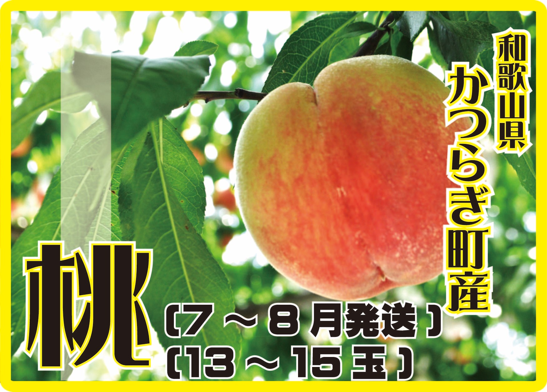 【ふるさと納税】<甘い香りと果汁が自慢>桃13〜15玉【2025年7月〜8月頃順次発送】 | もも 桃 モモ 甘い ジューシー ふるさと納税 和歌山 先行予約 果物 品種 送料無料 産地直送 絶品 濃厚 特産品 名産品