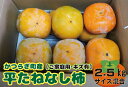 【ふるさと納税】 【訳あり・ご家庭用】たねなし柿 ご家庭用(傷有り)約2.5kg【2025年10月上旬から2025年11月上旬順次発送】 | フルーツ 果物 くだもの 食品 人気 おすすめ 送料無料 先行予約 数量限定 種無し たねなし かき