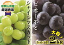 【ふるさと納税】 大人気 ぶどう セット 約2kg入 シャイン&ピオーネ 【8月上旬〜下旬発送】