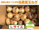 【ふるさと納税】 【2026年発送分・先行予約】農家さん直送 低農薬玉ねぎLサイズ 約10kg【2026年4月中旬~7月中旬発送予定】