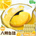 【ふるさと納税】 和歌山県産八朔缶詰(身割れ)約425g×12缶セット【入金確定後より7営業日以内に発送予定】【KF7】