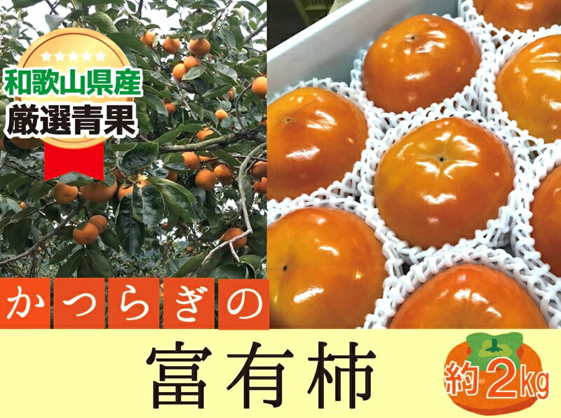 柿 富有柿[秀品]和歌山県産 約2kg[2025年11月中旬から2025年12月上旬発送]