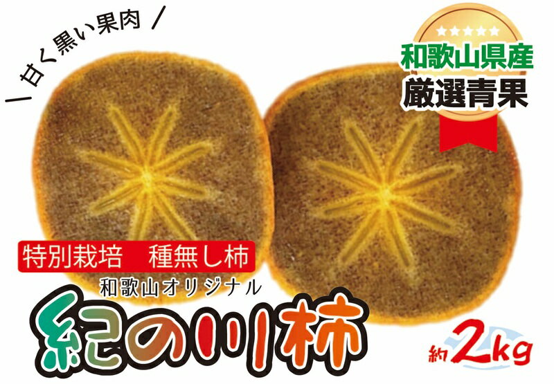 特別栽培 紀の川柿 約2kg [2025年10月中旬より順次発送]