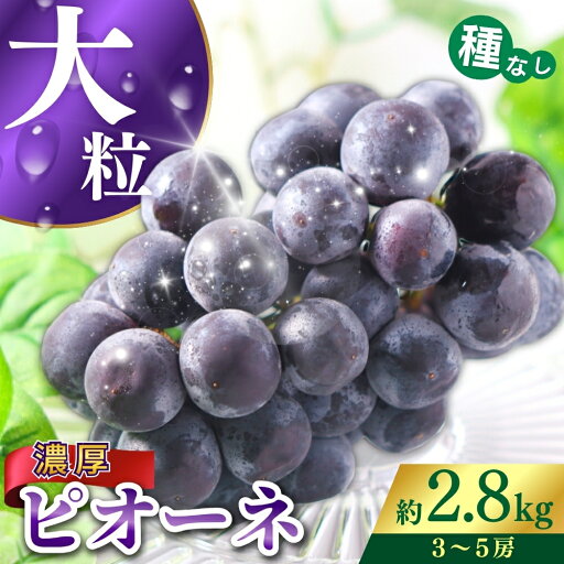 【ふるさと納税】種なしピオーネ 約 2.8kg ★2025年8月下旬〜9月中旬頃発送予定★ 【ふるさと納税】種なしピオーネ 約 2.8kg ★2025年8月下旬〜9月中旬頃発送予定★