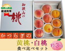 【ふるさと納税】 ★かつらぎの黄桃・白桃食べ比べセット★ 9〜12玉【2025年6月下旬〜2025年8月上旬頃順次発送】 | もも フルーツ 果物 くだもの 食...