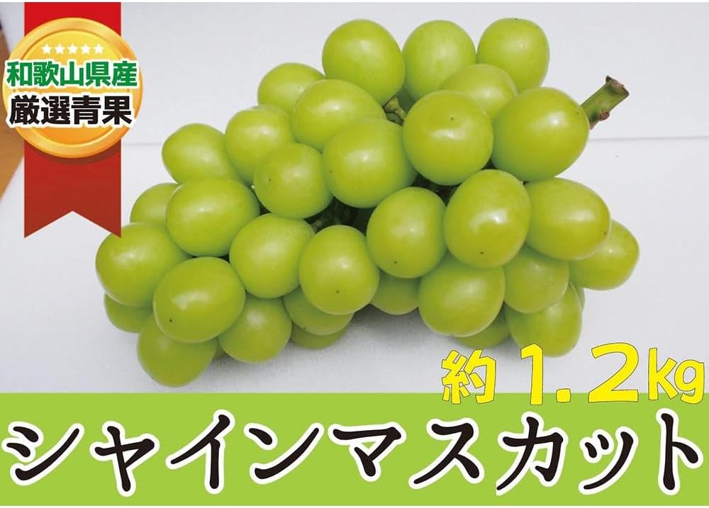 【ふるさと納税】シャインマスカット 約1.2kg ★産地直送★【2025年9月上旬〜2025年9月中旬頃順次発送】