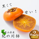 【ふるさと納税】黒くて甘い 紀の川柿 約2kg ★和歌山県オリジナル★【2025年10月上旬~2025年11月上旬ごろ発送予定】【KF03】 | 柿 かき フルーツ 果物 くだもの 食品 人気 おすすめ 送料無料